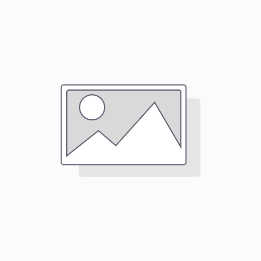 BULK – Kokoschips